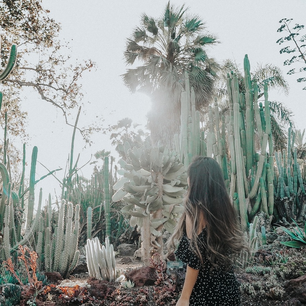 Meet your Posher, Kaz